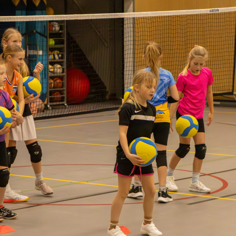 Dolfijn volleybal training